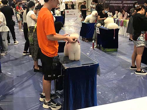 寵物展2.jpg